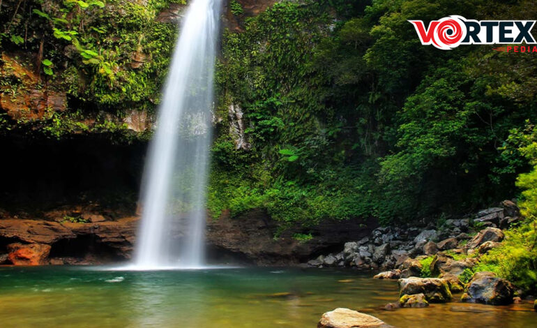 Explore Biausevu Village Waterfall: A Hidden Gem in Nature