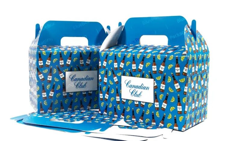 Two blue gift boxes with a festive design on a white background.