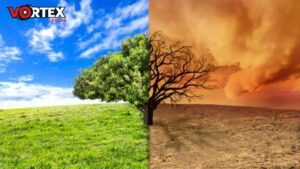 This image is showing the climate changes with the a tree half side with grass and other side with a dirty cloudy sky.