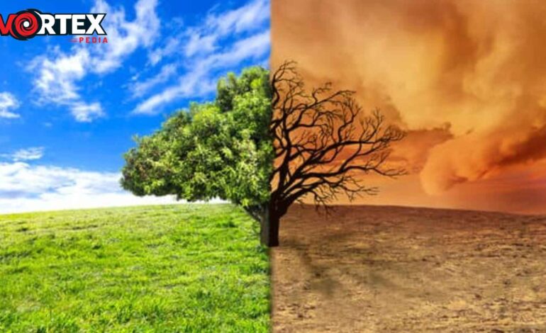 This image is showing the climate changes with the a tree half side with grass and other side with a dirty cloudy sky.